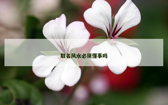 取名风水必须懂事吗