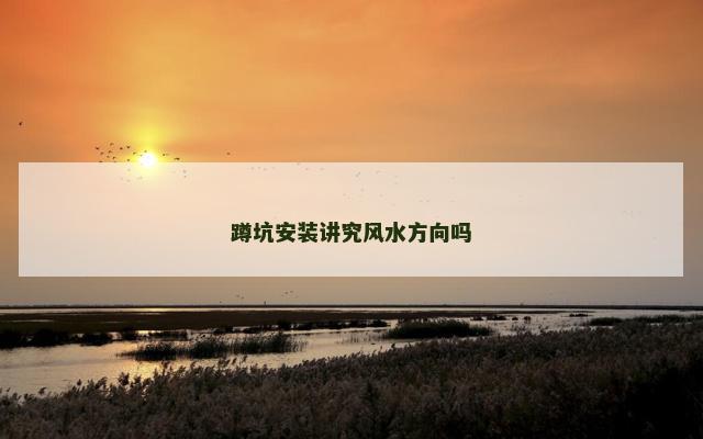 蹲坑安装讲究风水方向吗 蹲坑安装讲究风水方向吗