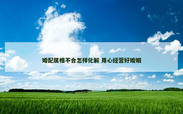 婚配属相不合怎样化解 用心经营好婚姻