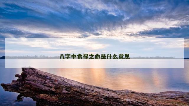 八字中食禄之命是什么意思