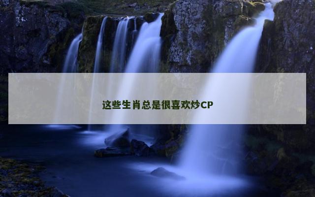 这些生肖总是很喜欢炒CP