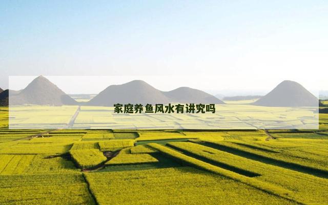 家庭养鱼风水有讲究吗