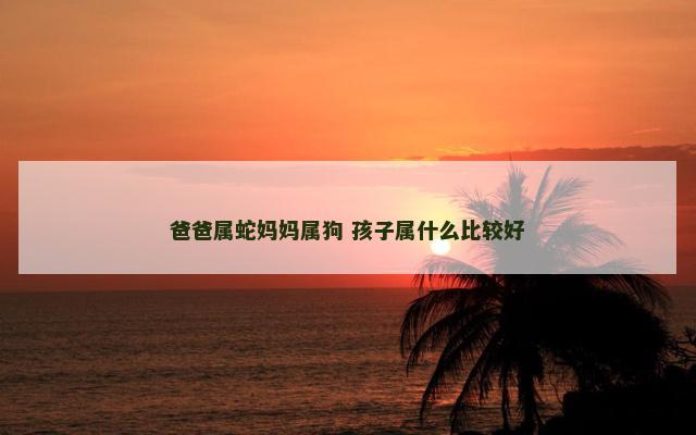 爸爸属蛇妈妈属狗 孩子属什么比较好