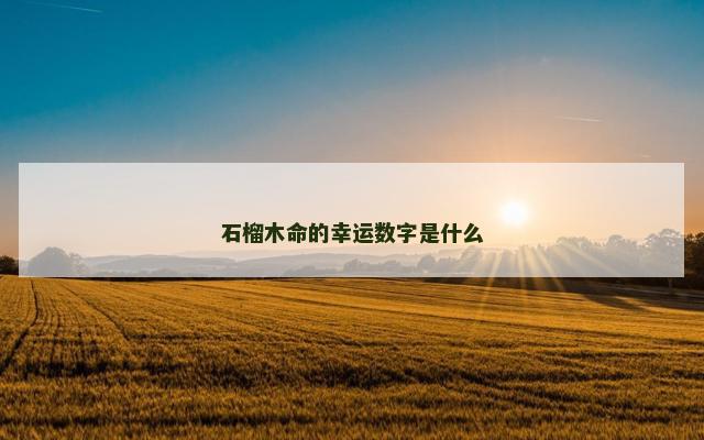 石榴木命的幸运数字是什么