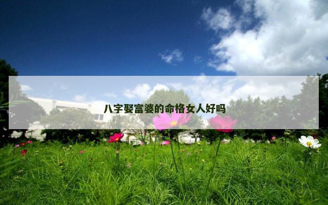 八字娶富婆的命格女人好吗
