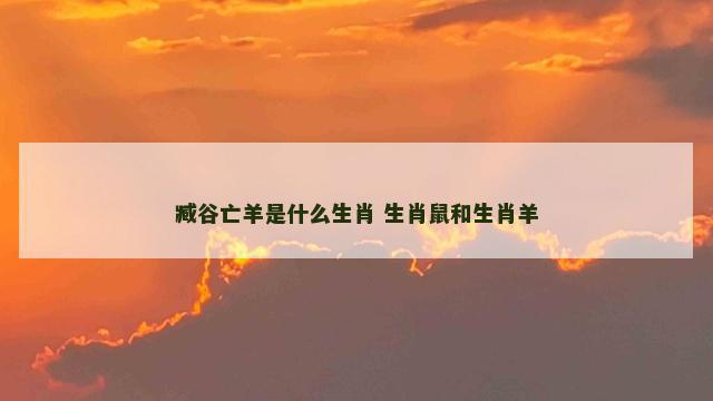 臧谷亡羊是什么生肖 生肖鼠和生肖羊