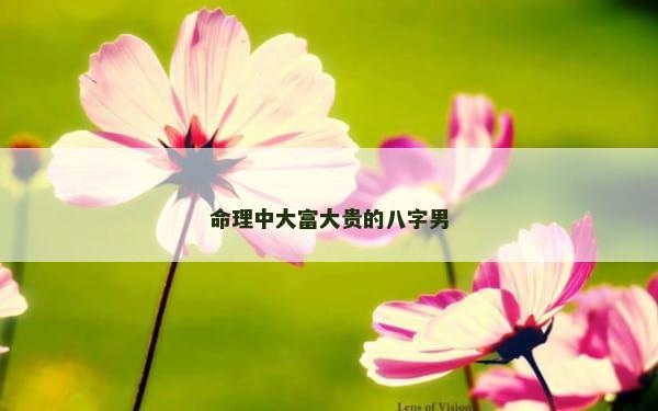 命理中大富大贵的八字男