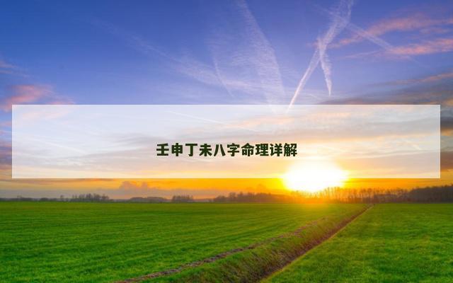 壬申丁未八字命理详解