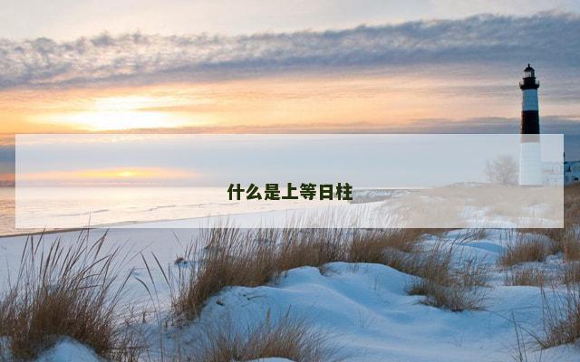 什么是上等日柱