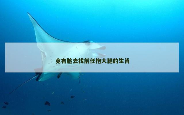 竟有脸去找前任抱大腿的生肖