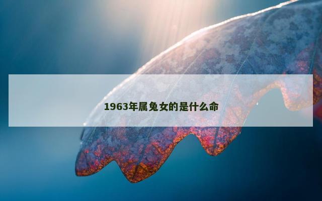 1963年属兔女的是什么命