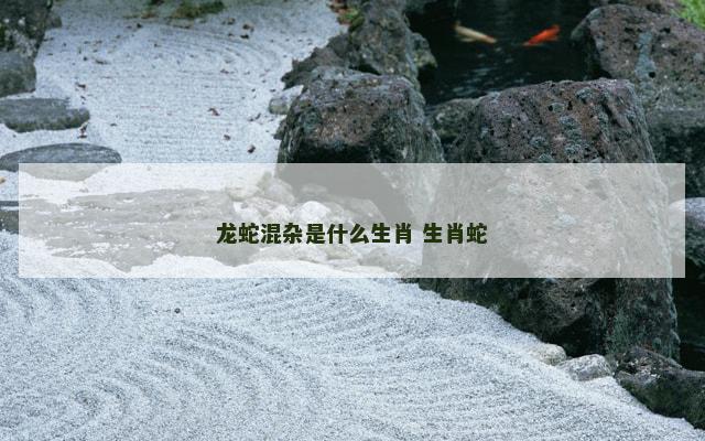 龙蛇混杂是什么生肖 生肖蛇