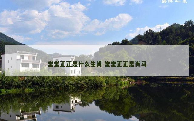 堂堂正正是什么生肖 堂堂正正是肖马