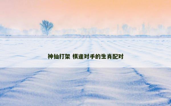 神仙打架 棋逢对手的生肖配对