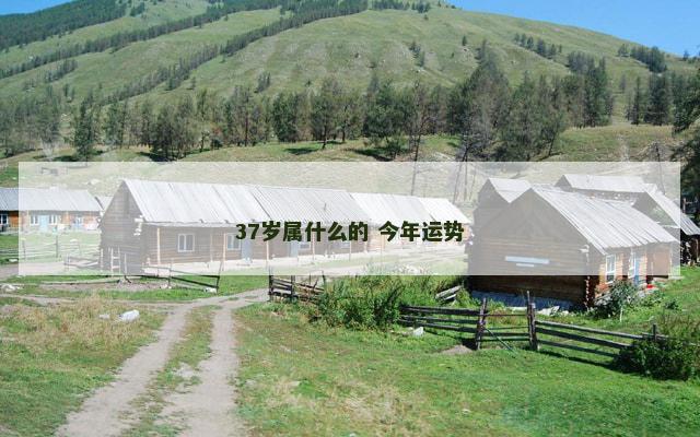 37岁属什么的 今年运势