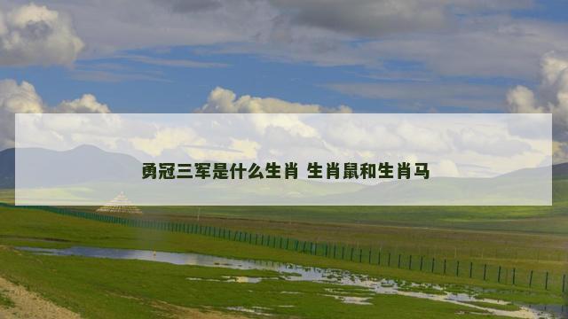 勇冠三军是什么生肖 生肖鼠和生肖马