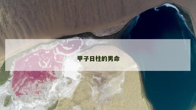 甲子日柱的男命