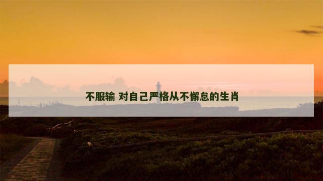 不服输 对自己严格从不懈怠的生肖 不服输 对自己严格从不懈怠的生肖