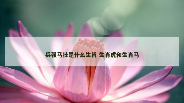 兵强马壮是什么生肖 生肖虎和生肖马