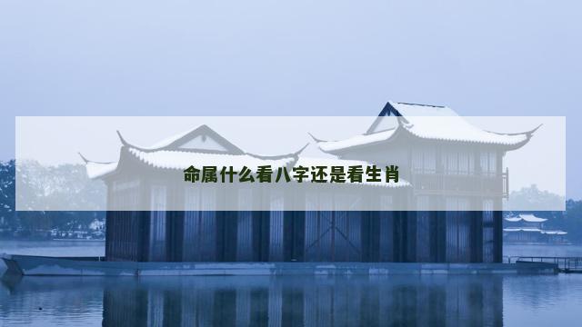 命属什么看八字还是看生肖 命属什么看八字还是看生肖