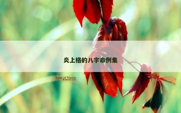 炎上格的八字命例集