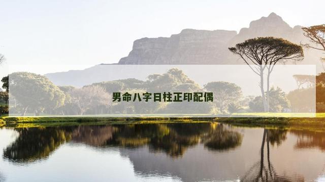 男命八字日柱正印配偶