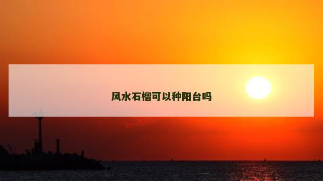 风水石榴可以种阳台吗