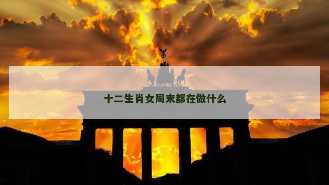 十二生肖女周末都在做什么