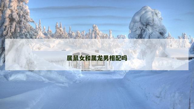 属鼠女和属龙男相配吗