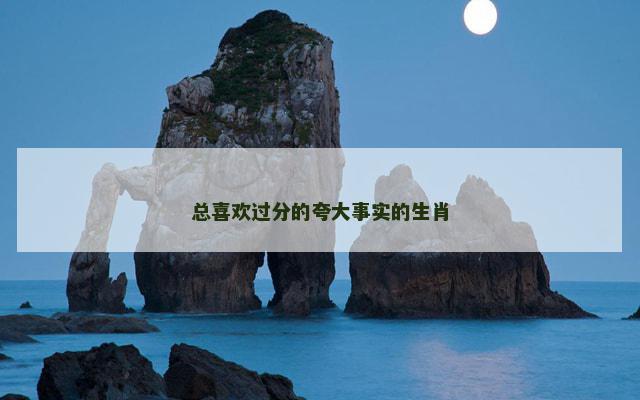总喜欢过分的夸大事实的生肖