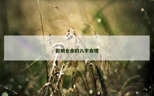 聪明女命的八字命理 聪明女命的八字命理