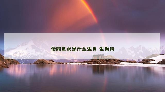 情同鱼水是什么生肖 生肖狗