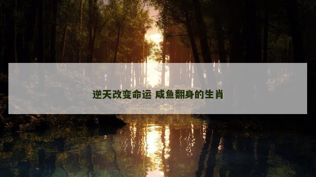逆天改变命运 咸鱼翻身的生肖