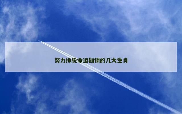 努力挣脱命运枷锁的几大生肖