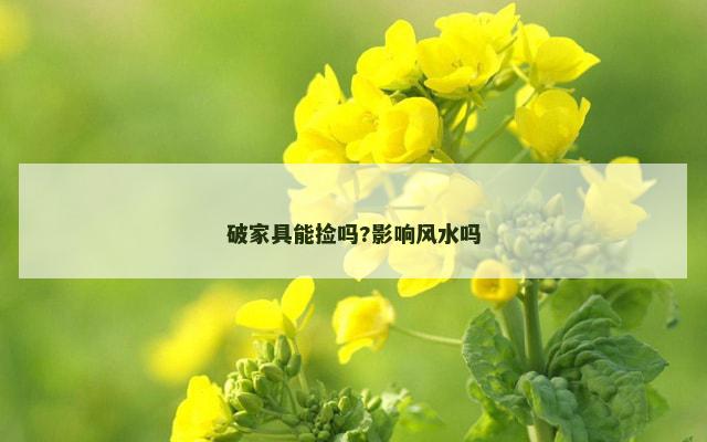 破家具能捡吗?影响风水吗 破家具能捡吗?影响风水吗