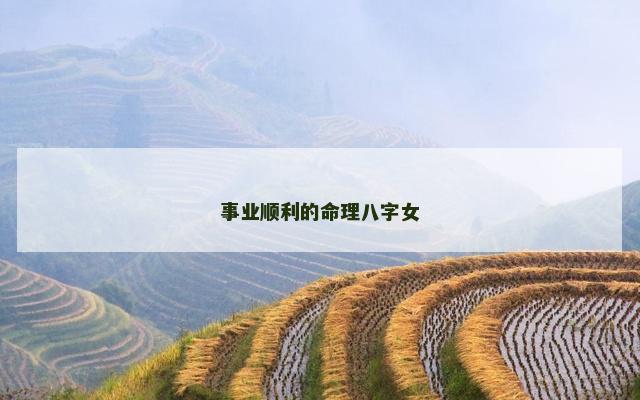 事业顺利的命理八字女
