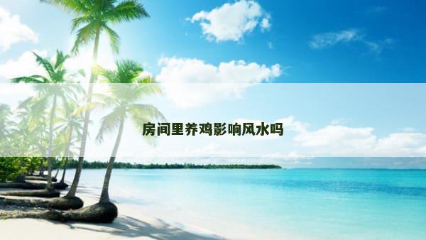 房间里养鸡影响风水吗 房间里养鸡影响风水吗