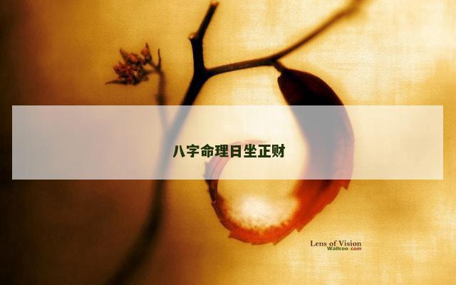 八字命理日坐正财