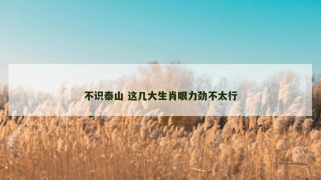 不识泰山 这几大生肖眼力劲不太行 不识泰山 这几大生肖眼力劲不太行