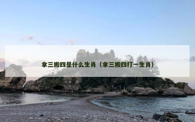 拿三搬四是什么生肖（拿三搬四打一生肖）
