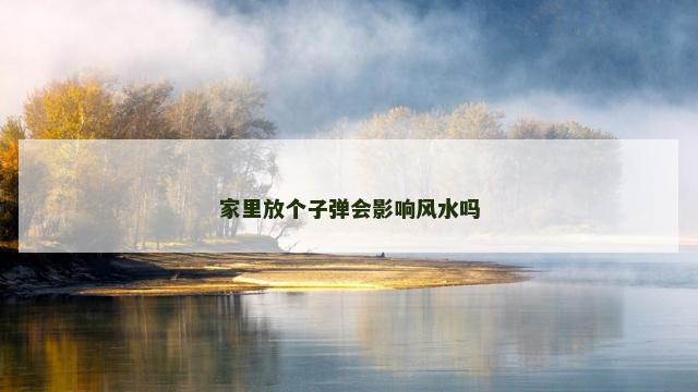 家里放个子弹会影响风水吗 家里放个子弹会影响风水吗