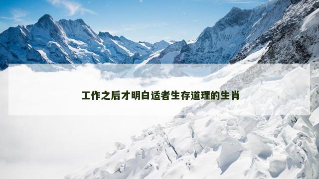工作之后才明白适者生存道理的生肖 工作之后才明白适者生存道理的生肖