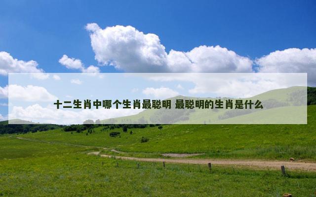 十二生肖中哪个生肖最聪明 最聪明的生肖是什么 十二生肖中哪个生肖最聪明 最聪明的生肖是什么