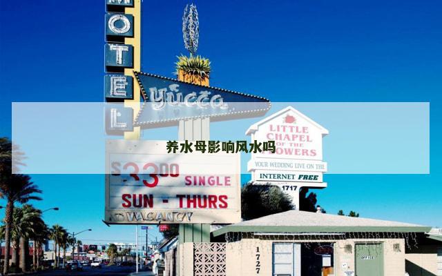 养水母影响风水吗 养水母影响风水吗