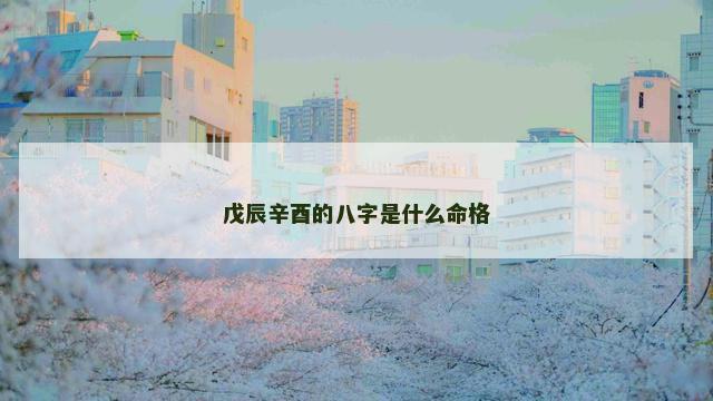 戊辰辛酉的八字是什么命格