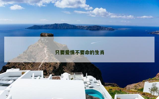 只要爱情不要命的生肖