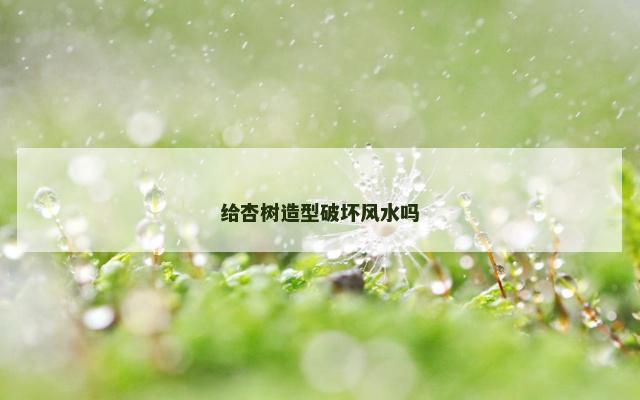 给杏树造型破坏风水吗