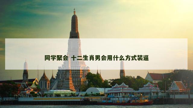 同学聚会 十二生肖男会用什么方式装逼 同学聚会 十二生肖男会用什么方式装逼