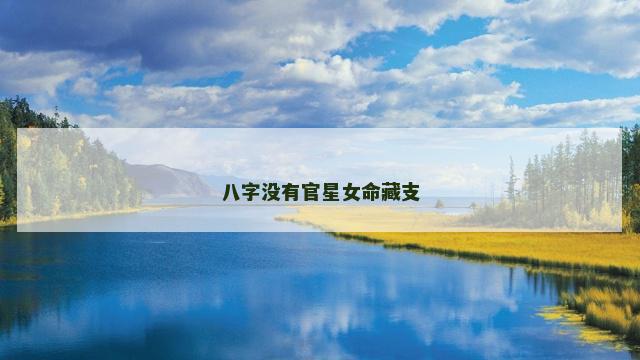 八字没有官星女命藏支