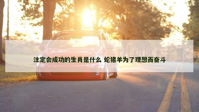 注定会成功的生肖是什么 蛇猪羊为了理想而奋斗 注定会成功的生肖是什么 蛇猪羊为了理想而奋斗